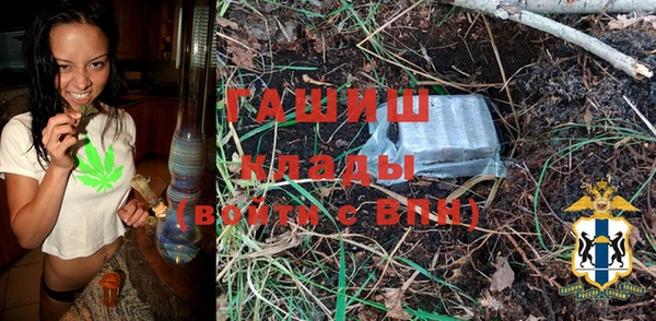 ешки Алексин